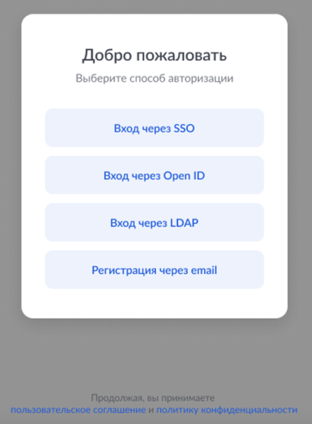 Выбор способа авторизации